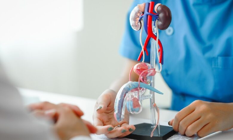 SALUD MASCULINA: EL EXAMEN DE PROSTATA EXPLICADO DE MANERA SENCILLA…